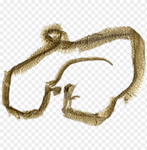 snakeskin PNG photo with transparency