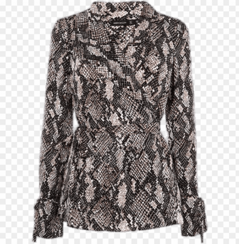 Snakeskin Blouse PNG Photo Without Watermark