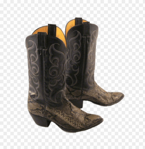 snakeskin cowboy boots PNG pics with alpha channel