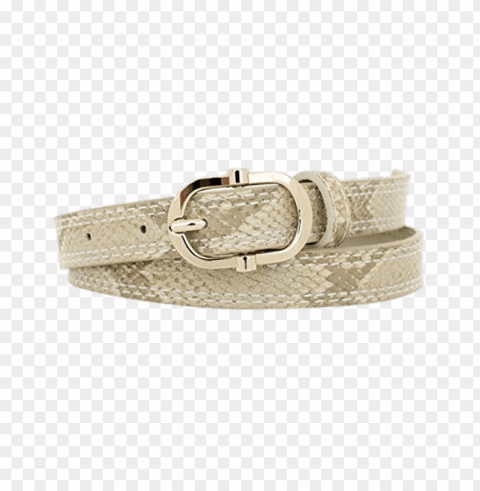 snakeskin pattern belt PNG pictures with no background