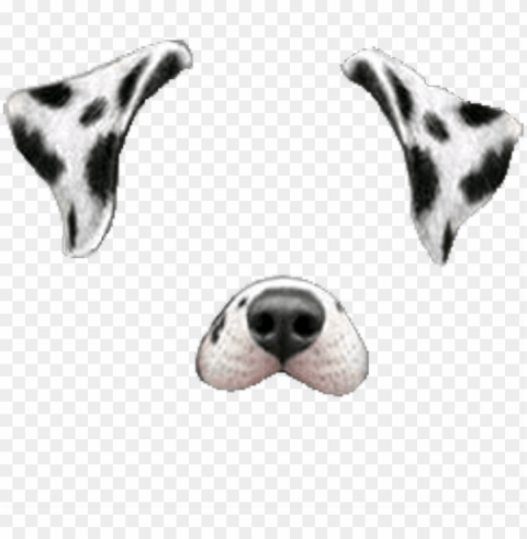 snapchat snapchatfilter filter dogface dog face white - snapchat dog filter PNG without watermark free