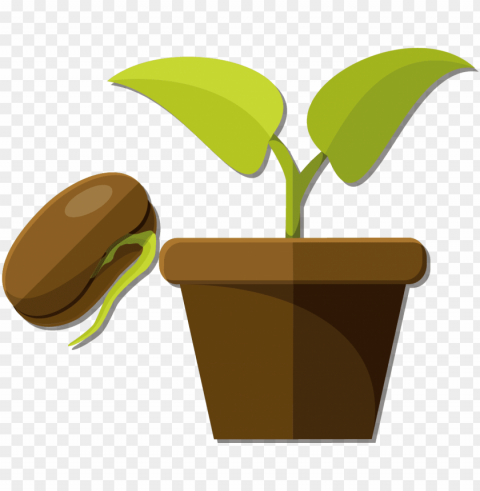 Snow Pea Flowerpot And Potted Plants Vector - Semillas Y Plantas PNG File Without Watermark