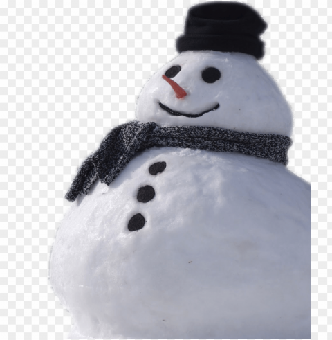 snowman real Clear PNG pictures comprehensive bundle
