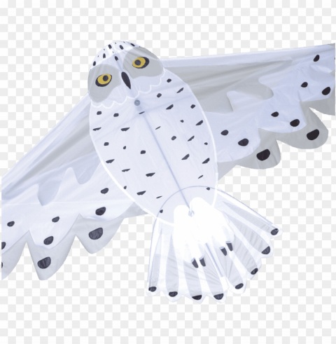snowy owl PNG Isolated Subject with Transparency