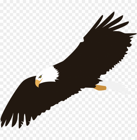 soaring eagle image - transparent background eagle clipart PNG for free purposes