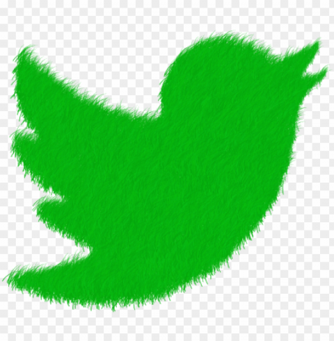 socialsocial networktwitter - twitter logo verde Isolated Subject in Transparent PNG Format