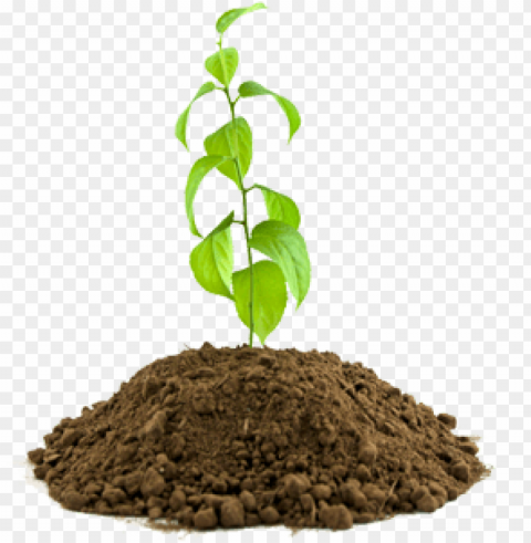 soil PNG photo with transparency PNG transparent with Clear Background ID a169ddfc