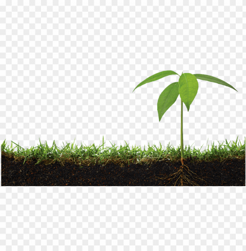 soil PNG pictures with no background required PNG transparent with Clear Background ID 1c45c97c