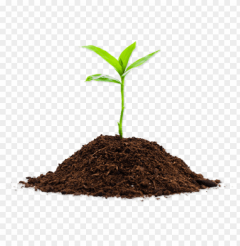 soil PNG transparency PNG transparent with Clear Background ID 1662bde2