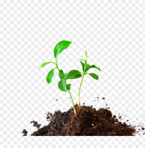 soil PNG transparency images PNG transparent with Clear Background ID 9dc28ba5