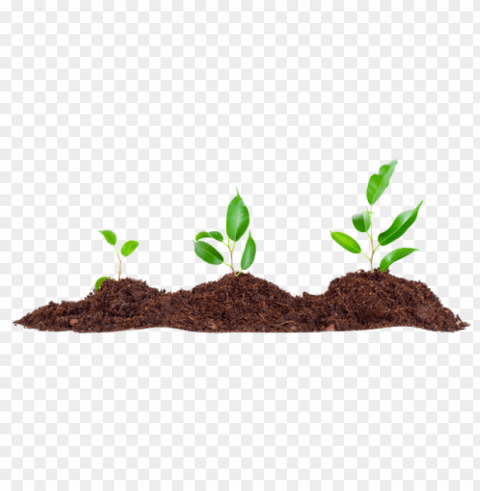 Soil PNG Transparent Designs For Projects