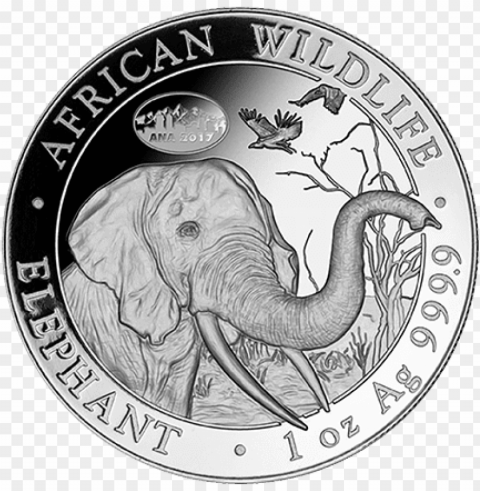somalia elephant coin 2018 Clear PNG pictures broad bulk