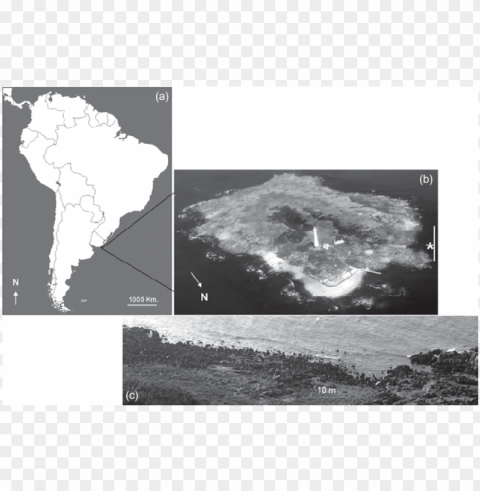 south america map indicating the location of isla de PNG Image with Transparent Background Isolation