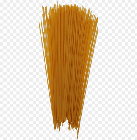 spaghetti pasta - junk food PNG Graphic with Clear Isolation