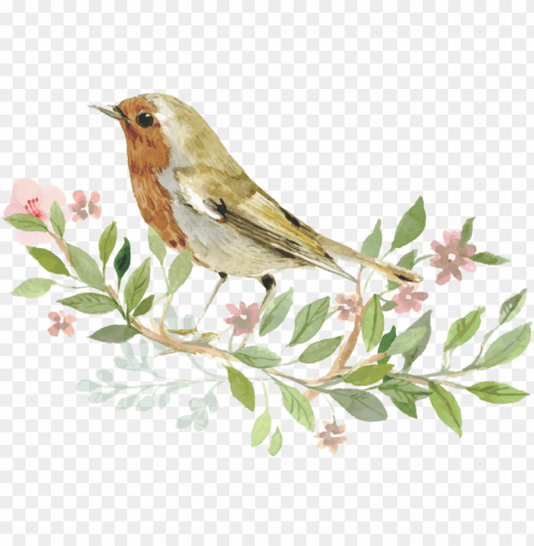 sparrow bird watercolor painting - invitation with bird PNG Image Isolated with Clear Background PNG transparent with Clear Background ID d1b49311