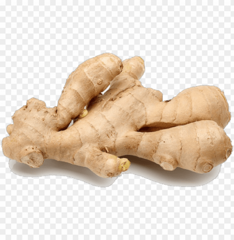 spices - ginger root PNG Image with Transparent Isolation