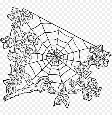 spider spider web halloween - spider web Transparent PNG download