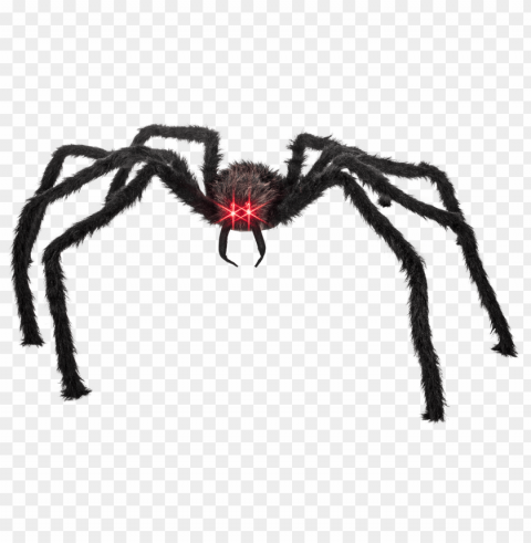 spider huge - giant spider Transparent Background Isolation of PNG PNG transparent with Clear Background ID 392861d1