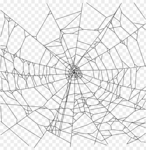 spider web clipart realistic dinosaur - spider web background High-resolution transparent PNG images assortment