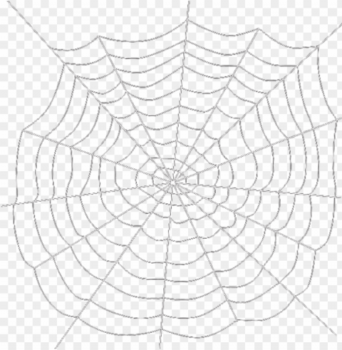 spider web transparent background - spider web transparent background PNG Isolated Subject with Transparency