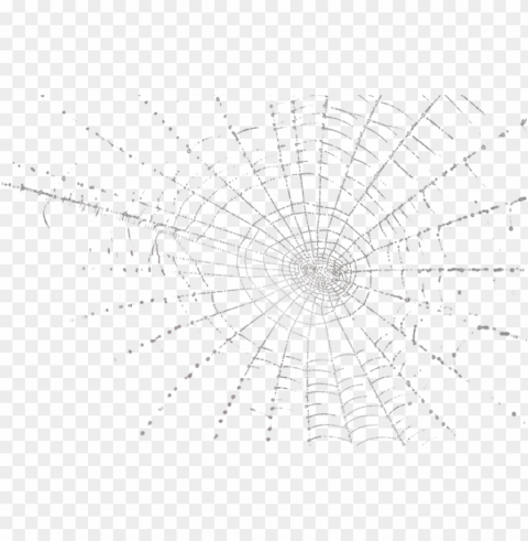 spider web - spider web psd Transparent graphics