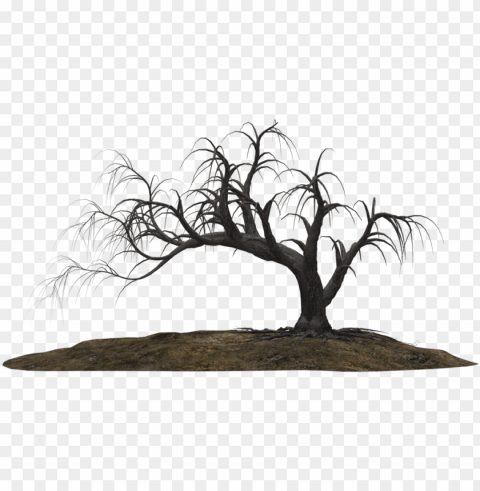 spooky trees royalty free - creepy trees Isolated Illustration in Transparent PNG