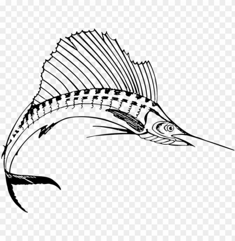 sport fishing around grenada - sailfish black and white Isolated Object in Transparent PNG Format