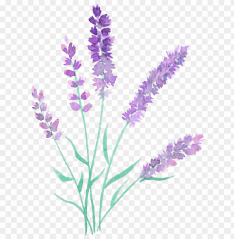 sprigs lavender2-4 - watercolor painti PNG files with no background free PNG transparent with Clear Background ID 1c302b42