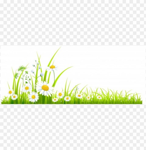spring border Isolated Item with HighResolution Transparent PNG