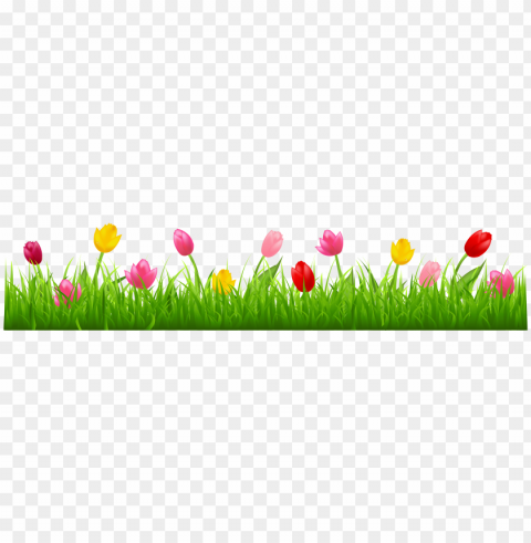 spring border Isolated Object on Transparent PNG