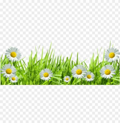 spring border Isolated Object with Transparent Background in PNG
