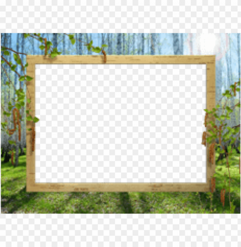 spring border Isolated Subject on Clear Background PNG PNG transparent with Clear Background ID df1f288c