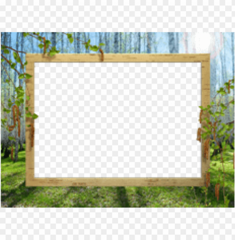 Spring Border Isolated Subject On Clear Background PNG