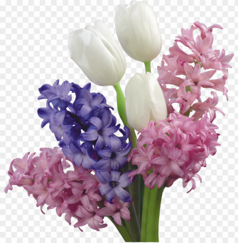spring flower bouquet PNG for educational projects