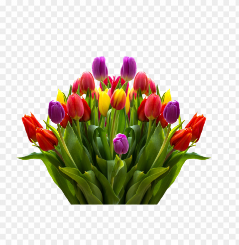 spring flower bouquet PNG for use