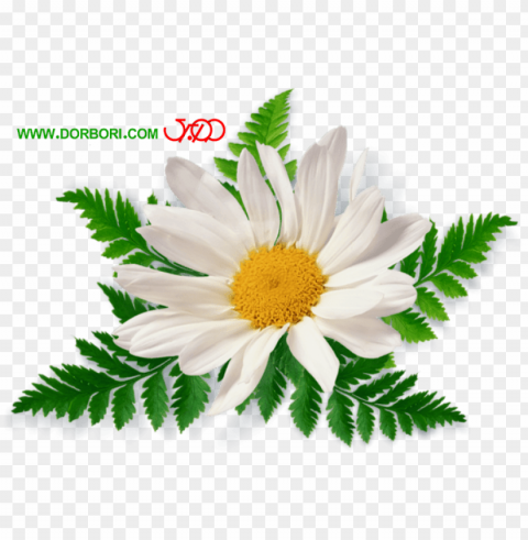 spring flower bouquet PNG with no background diverse variety