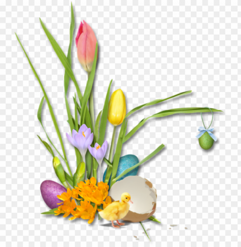 spring flower bouquet PNG with no background for free