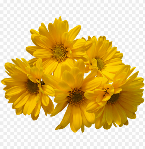 spring flower bouquet PNG with no background free download PNG transparent with Clear Background ID 1ac102c8