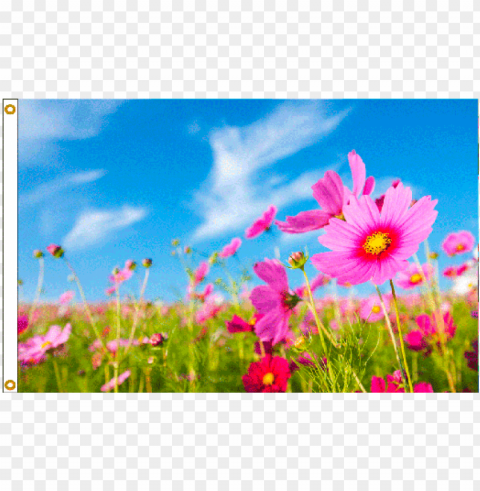 spring flowers flag HighQuality Transparent PNG Isolated Graphic Design
