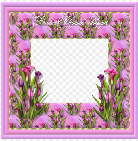 spring frame Isolated Item in Transparent PNG Format