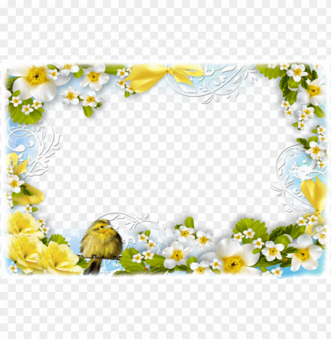 spring frame PNG pics with alpha channel