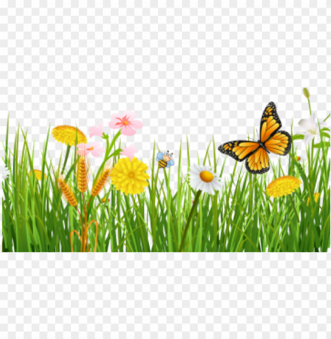 spring grass with butterflies beautiful background - grama primavera Isolated Subject on HighResolution Transparent PNG