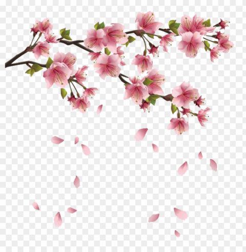 spring Isolated Icon in Transparent PNG Format