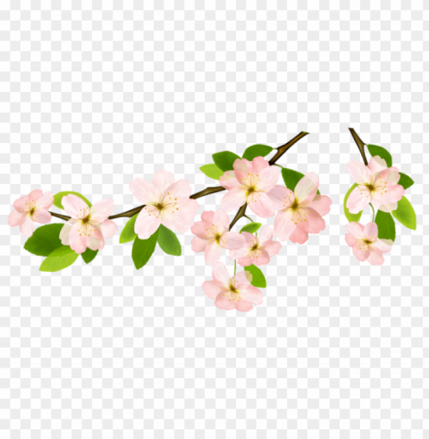 spring Isolated Icon with Clear Background PNG