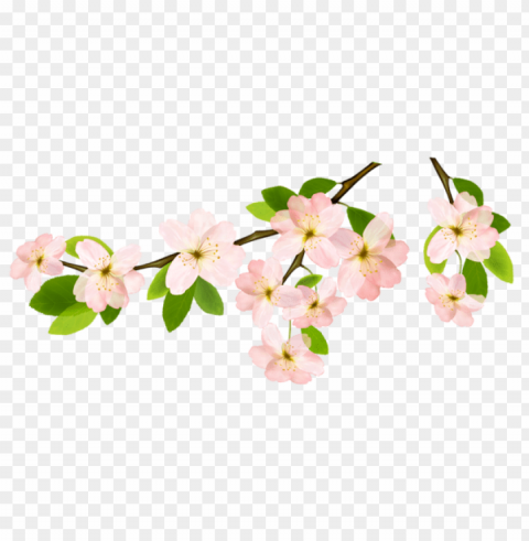 Spring Isolated Icon With Clear Background PNG