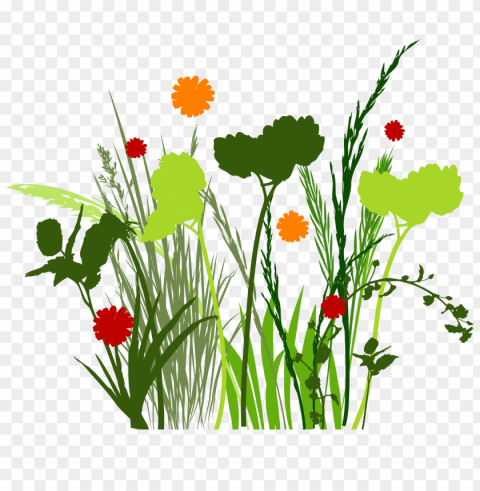 spring Isolated Item on Clear Background PNG
