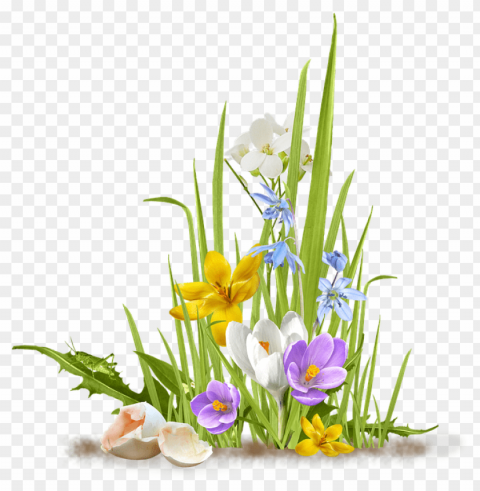 spring PNG for overlays