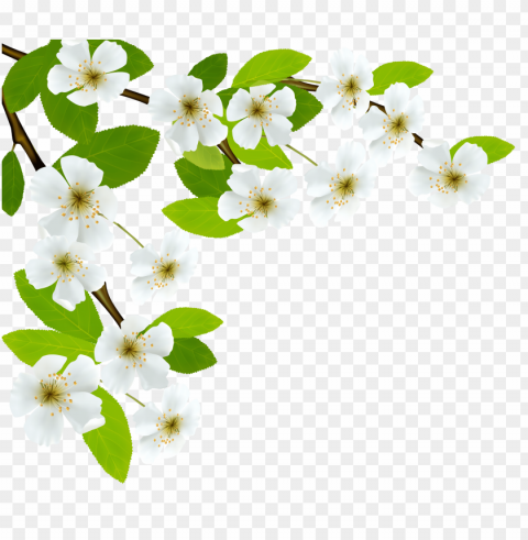 spring PNG for web design PNG transparent with Clear Background ID 340734bb