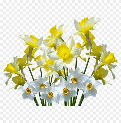 spring PNG format PNG transparent with Clear Background ID 397551ba