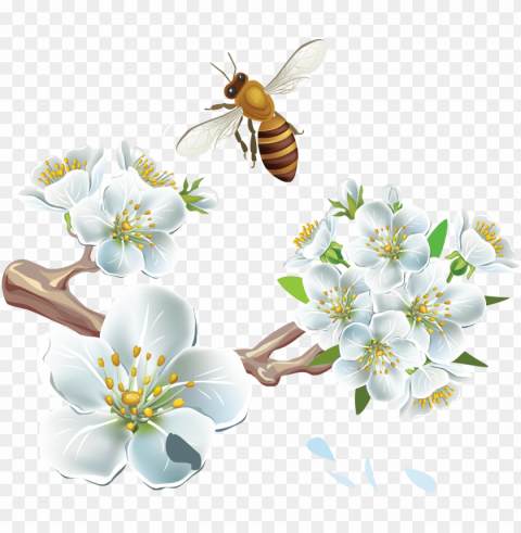 Spring PNG Free Download